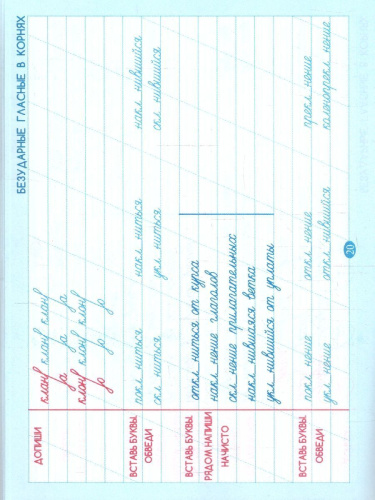 Тренажёр по орфографии и чистописанию. Рабочая тетрадь. 5 класс