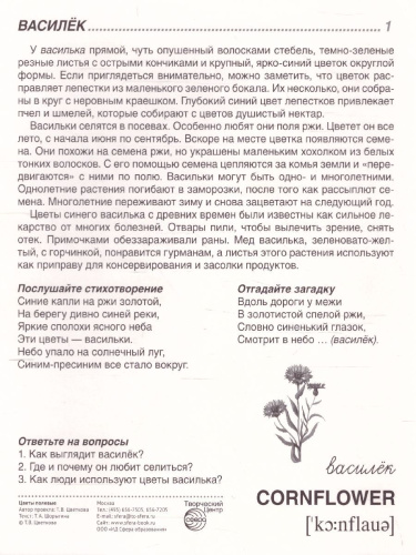 Демонстрационные картинки СУПЕР. Цветы полевые. 16 демонстрационных картинок с текстом 173х220 мм