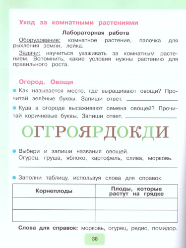 Мир природы и человека 2 класс. Рабочая тетрадь (для обучающихся с интеллектуальными нарушениями)