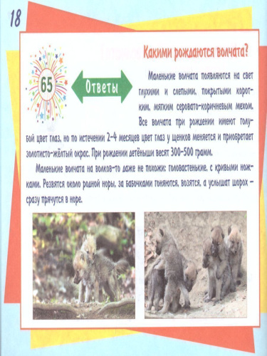 Математический счёт для любознаек: от 0 до 100. Второй уровень. Книга с мобильным приложением