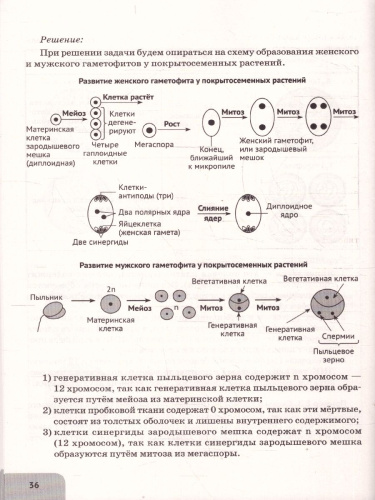 ЕГЭ Биология. Молекулярная биология. Тренировочная тетрадь