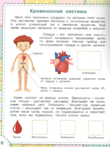 Книжка с многоразовыми наклейкми: Тело человека./ По дороге в школу: Наклейки (Вако)