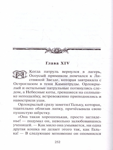 Коты-воители. Цикл "Путешествия Орлокрылого". Ослепление
