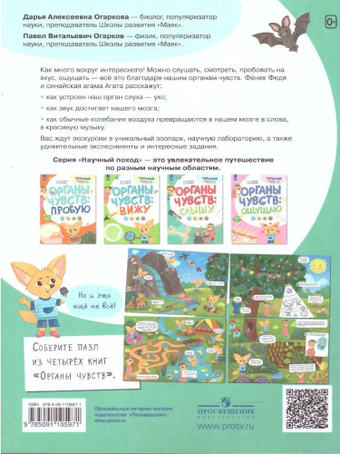 Тело человека. Органы чувств: слышу. Познавательное развитие. Окружающий мир