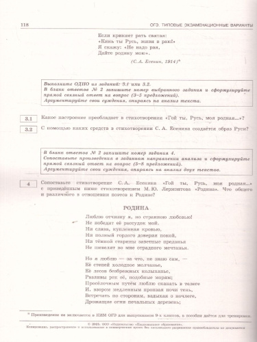 ЕГЭ 2025 Литература. 30 вариантов