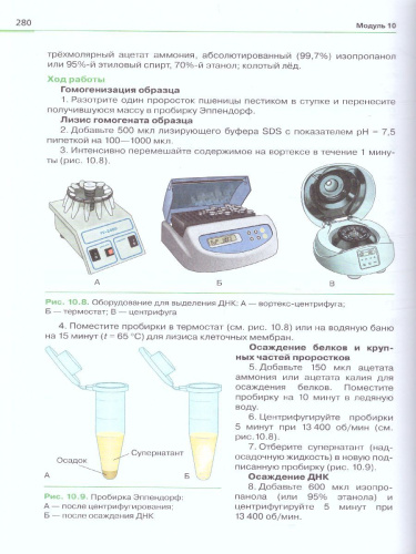 Генетика 10-11 классы