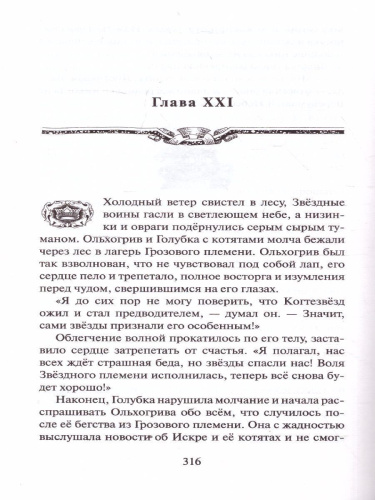 Коты-воители. Огненная река (цикл "Видение теней")