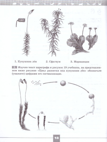 Биология 7 класс(Линия жизни). Рабочая тетрадь (ФП2022)