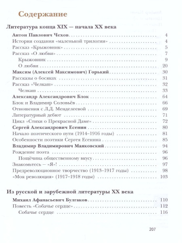 Литература 9 класс. Учебник. Часть 2. ФГОС