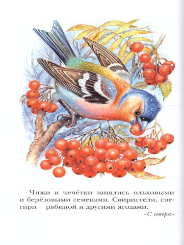 Лесная газета. Рассказы. Детское чтение