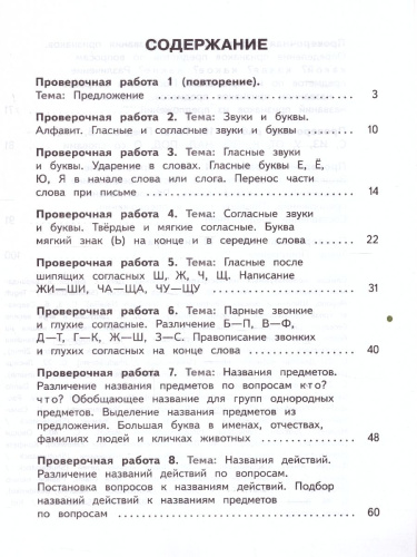 Русский язык 3 класс. Для обучающихся с интеллектуальными нарушениями
