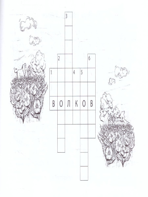 55640977-3