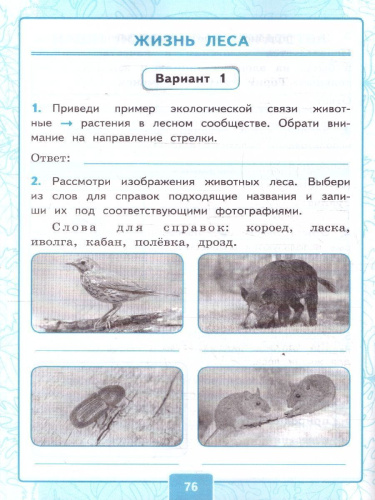 Окружающий мир 4 класс. Контрольные работы. К учебнику Плешакова, Крючковой. Часть 1. ФГОС Новый
