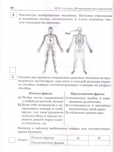 ВПР 2026 Русский язык, математика, окружающий мир, литературное чтение 4 класс. 20 вариантов