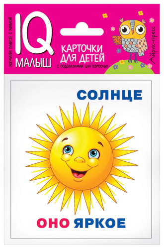 Умный малыш Он, она, они, оно Набор карточек для детей