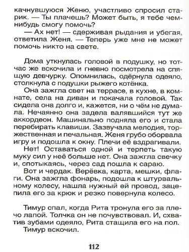 Тимур и его команда