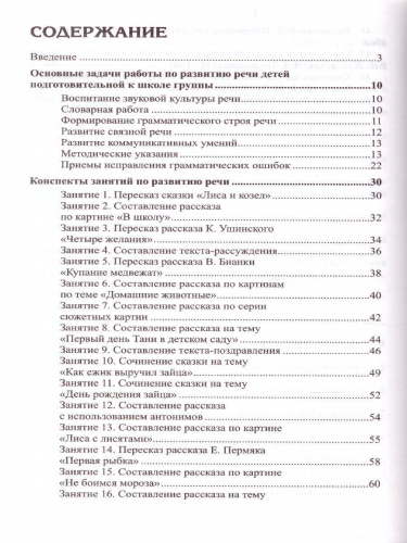 Развитие речи детей 6-7 лет Подготовительная к школе группа