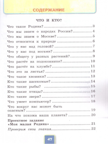 Окружающий мир 1 класс. Рабочая тетрадь. К учебнику А.А. Плешакова. Часть 1. ФГОС Новый