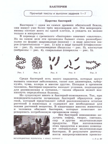 Метапредметные результаты. Стандартизированные материалы для оценки читательской грамотности. 5 класс. Варианты 1-4. ФГОС