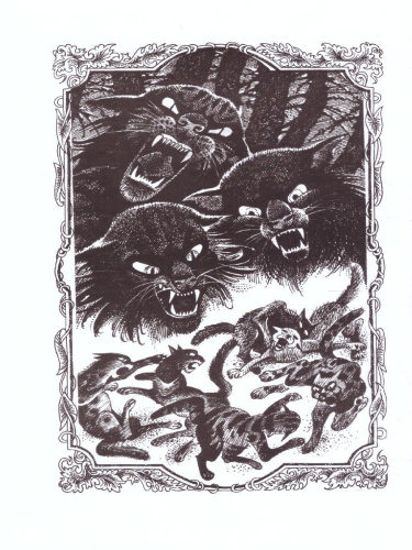 Долгое эхо.Коты - воители