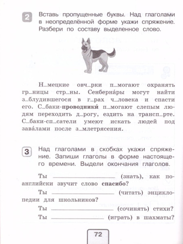 Русский язык 4 класс. Проверочные работы. Проверь себя!