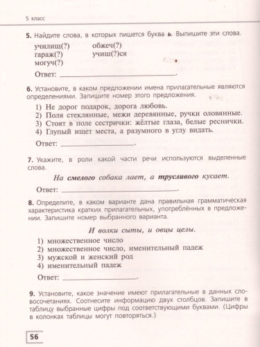 Русский язык 5 класс. Тематический контроль