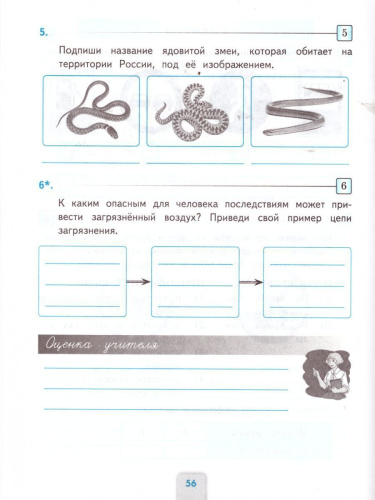 Окружающий мир 3 класс. Проверочные работы. ФГОС