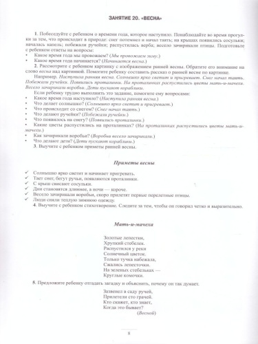 Занимаемся вместе. Старшая логопедическая группа. Домашняя тетрадь. Часть 2