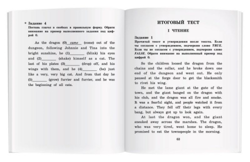Укротитель драконов. Домашнее чтение