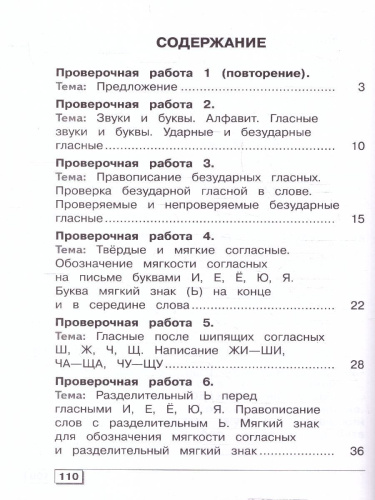 Русский язык 4 класс. Проверочные работы. Для обучающихся с интеллектуальными нарушениями