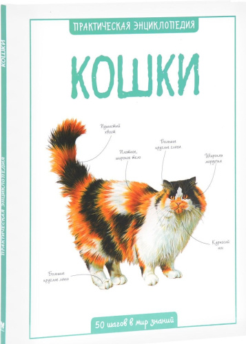 Кошки. Практическая энциклопедия. 50 шагов в мир знаний