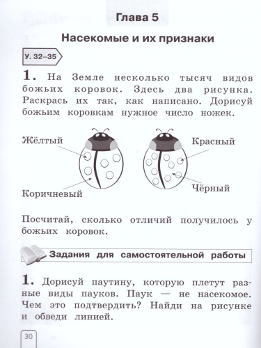 Окружающий мир 1 класс. Рабочая тетрадь