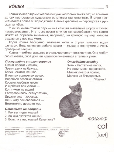 Демонстрационные картинки СУПЕР Домашние животные. 16 демонстрационных картинок с текстом. 173х220 мм