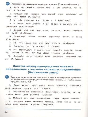 Тренажёр по Русскому языку 6 класс. Пунктуация