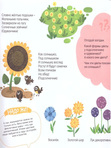 Про цветы, цвета и формы