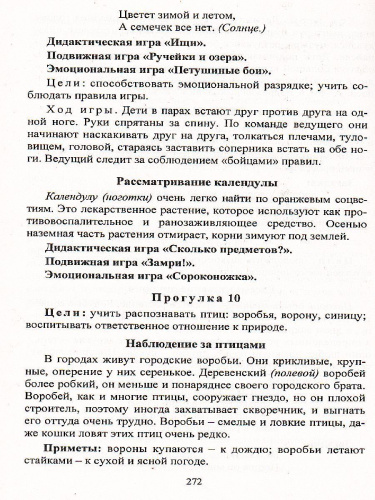 Организация деятельности детей на прогулке: старшая группа