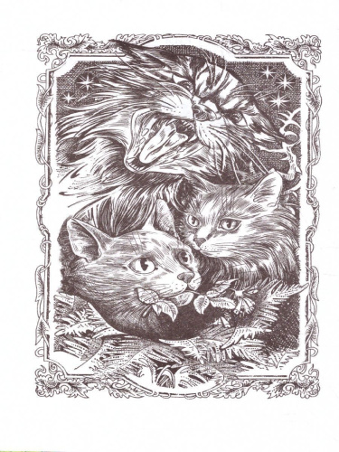 Сборник. Цикл "Нерассказанные истории". Ярость Когтя /Коты-воители