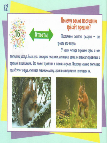 Математические считалочки для любознаек. Счет от 0 до 20. Книга с мобильным приложением