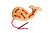 Шнуровка "Кит"