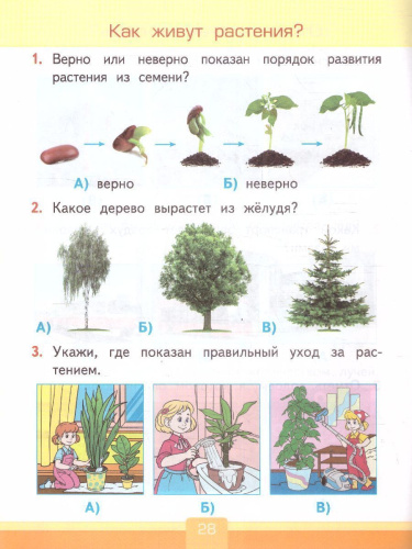 Окружающий мир 1 класс. Тесты. ФГОС