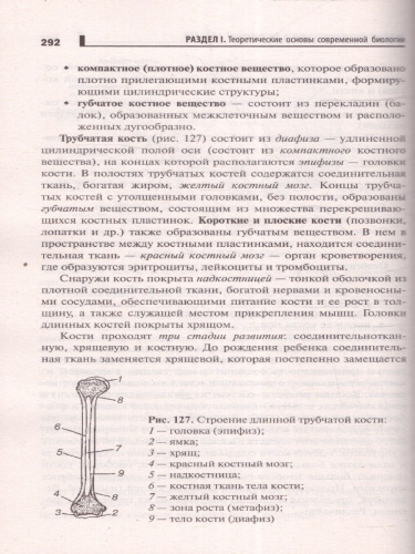 Репетитор по биологии для старшеклассников и поступающих в вузы