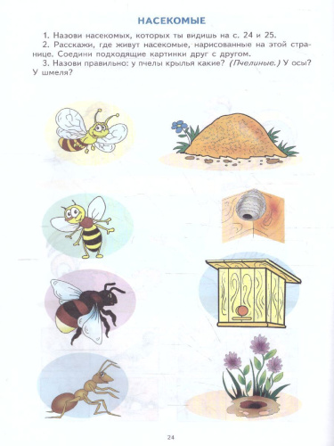 Лексическая тетрадь №3. Звери, птицы, насекомые, рыбы, времена года