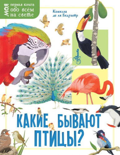 Какие бывают птицы?оя первая книга обо всём на свете