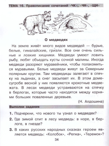 Русский язык и Чтение 1-2 класс. Универсальный тренажер