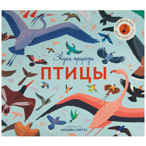 Птицы Звуки природы (Мозаика-синтез)