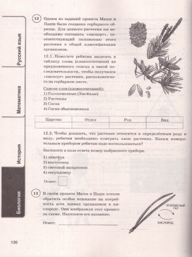 ВПР Русский язык, Математика, История, Биология 5 класс. 24 варианта. ФИОКО СТАТГРАД. ФГОС Новый