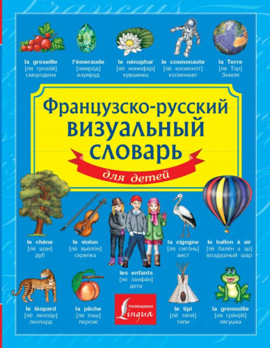 Французско-русский визуальный словарь для детей / Детский визуальный словарь
