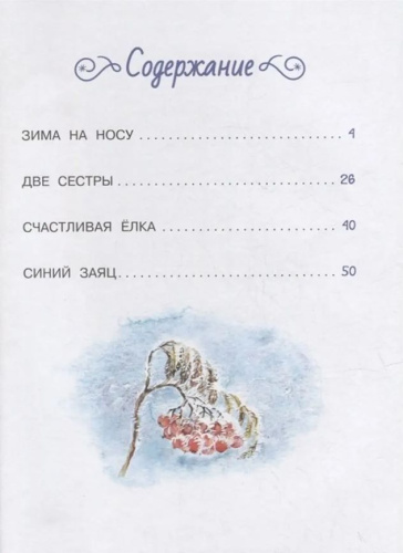 Снежные сказки для почемучки