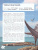 Динокнижки. Летающие хищники