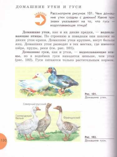 Биология 8 класс. Учебник для специальных (коррекционных) образовательных учреждений VIII вида